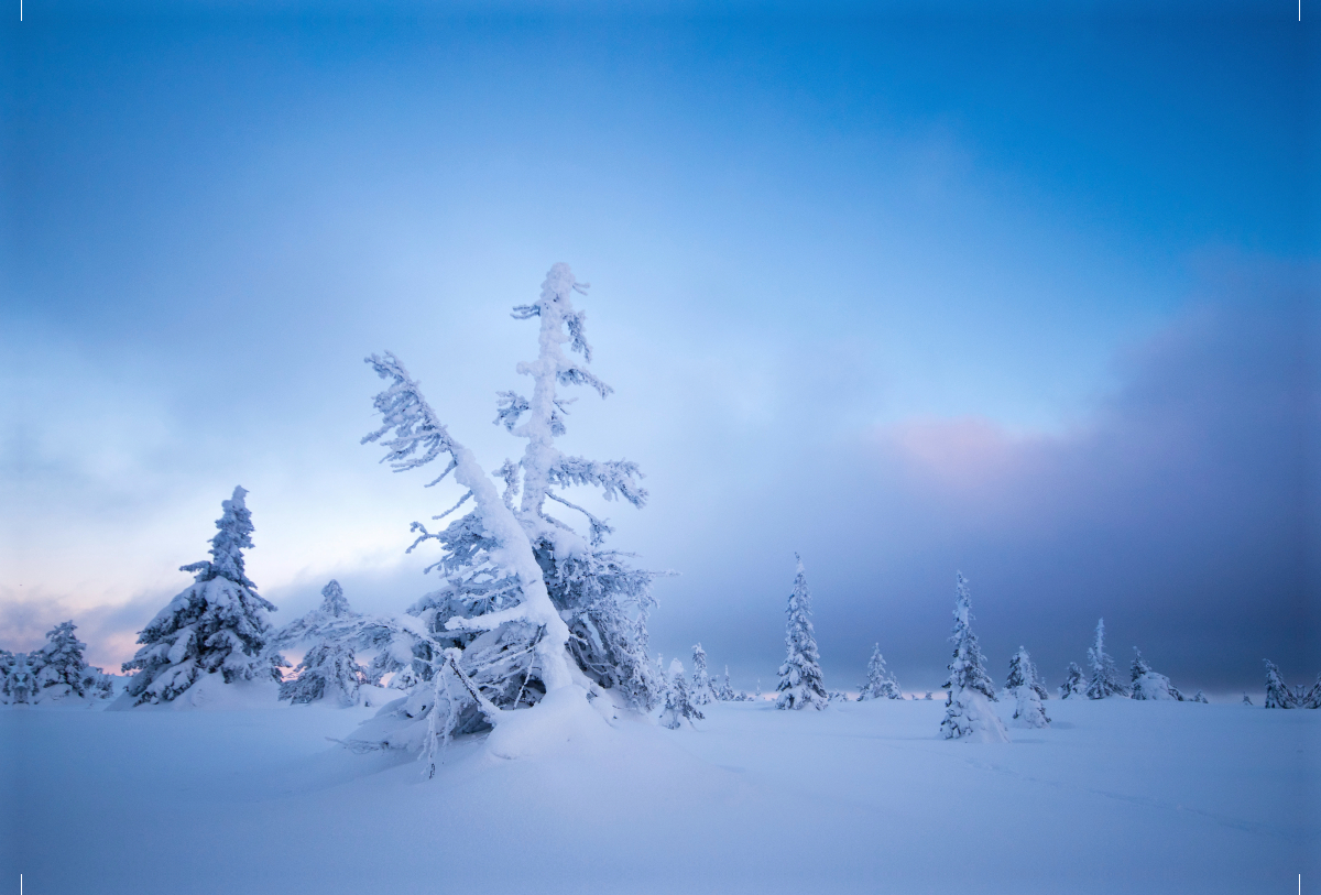 Ein Motiv aus dem Kalender Karelien - Winterwandern in Finnland