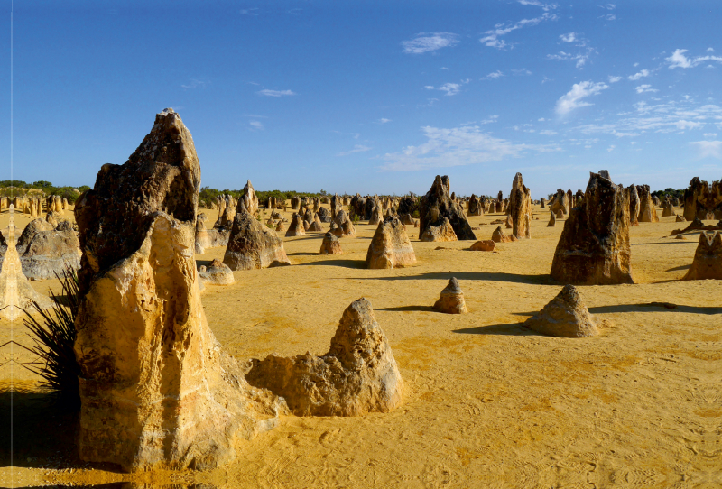 Kalksteinfelsen 'Pinnacles' im Nambung Nationalpark