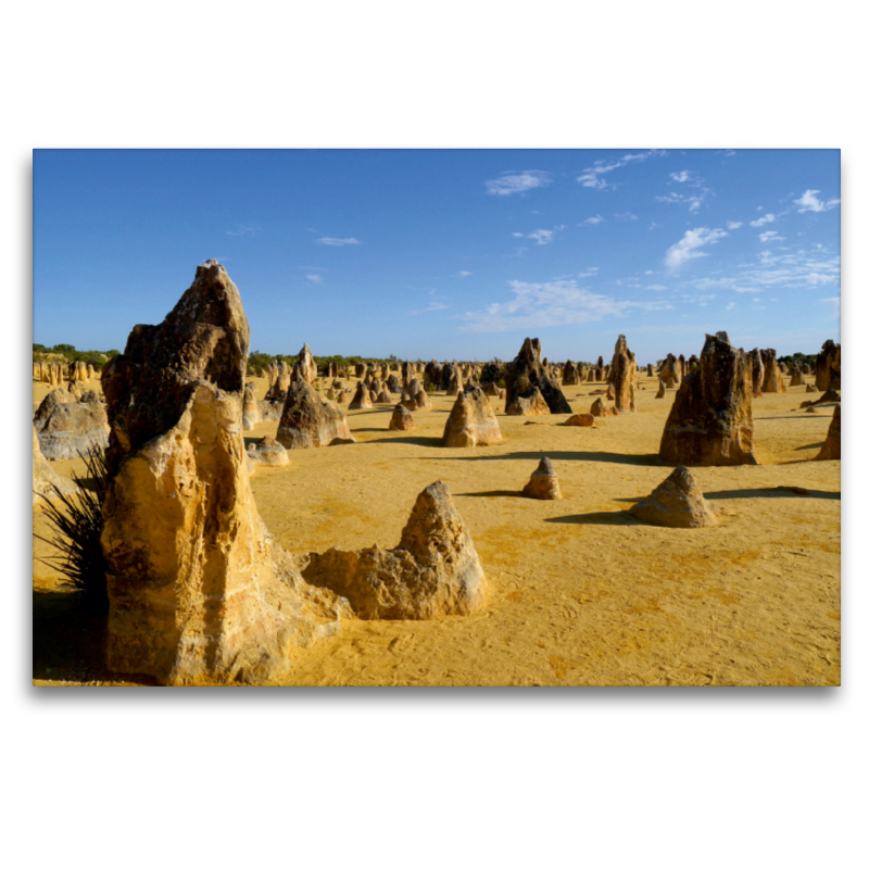 Kalksteinfelsen 'Pinnacles' im Nambung Nationalpark