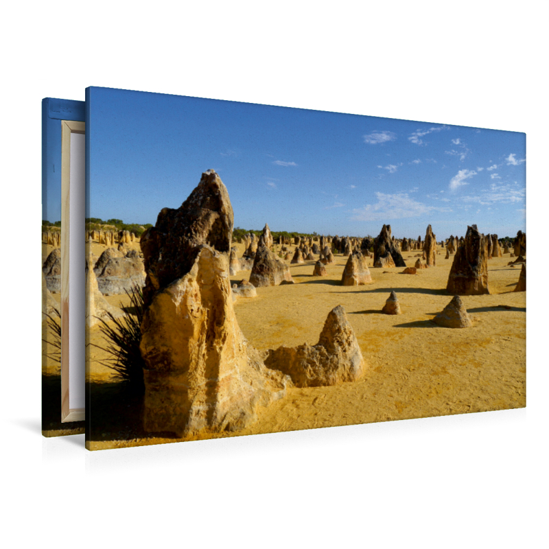 Kalksteinfelsen 'Pinnacles' im Nambung Nationalpark