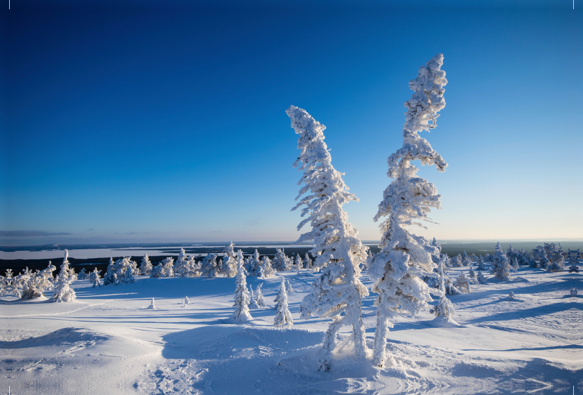 Kalter Schnee in Karelien