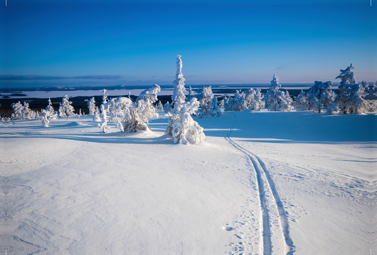 Skispur in die Ferne