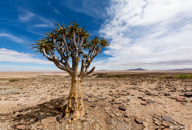 Namib-Naukluft Nationalpark, Namibia