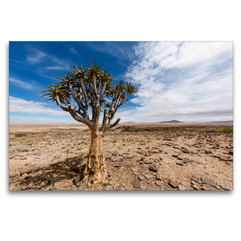 Namib-Naukluft Nationalpark, Namibia