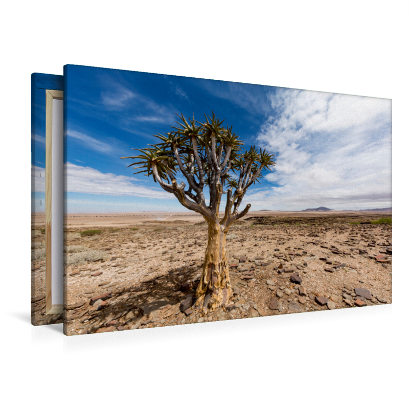 Namib-Naukluft Nationalpark, Namibia