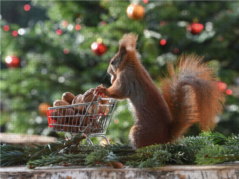 Eichhörnchen Shopping