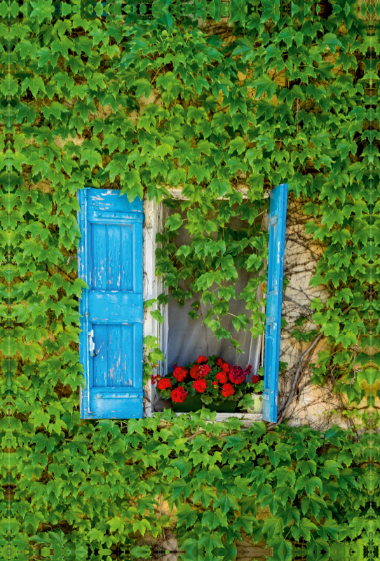 Fenster in Bonnieux