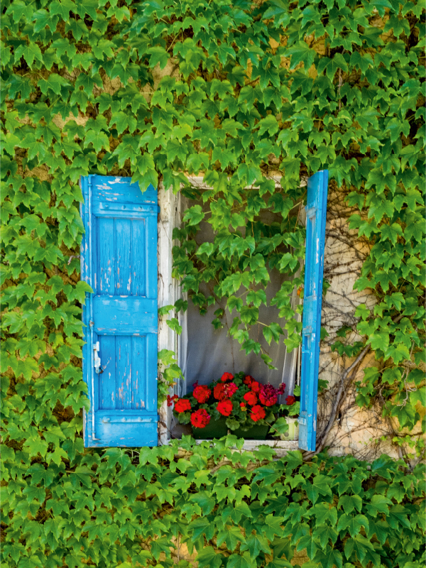 Fenster in Bonnieux