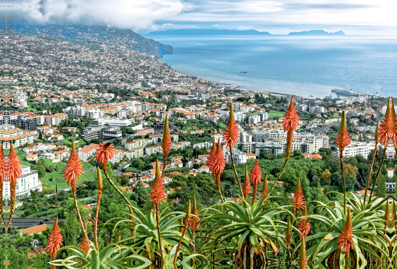 Madeira - Inselzauber im Atlantik