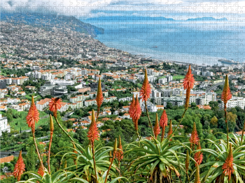 Madeira - Inselzauber im Atlantik