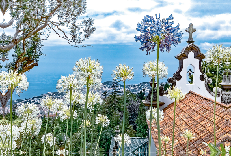 Madeira - Inselzauber im Atlantik