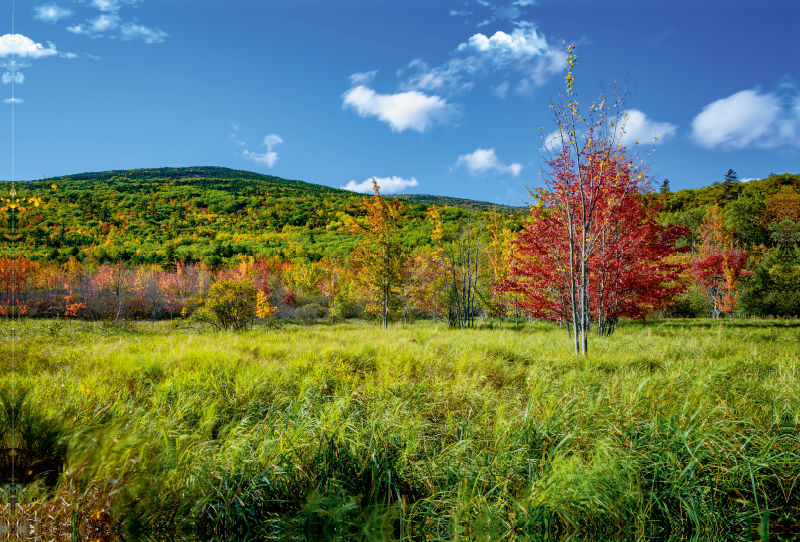 Farbenspiel im Acadia National Park