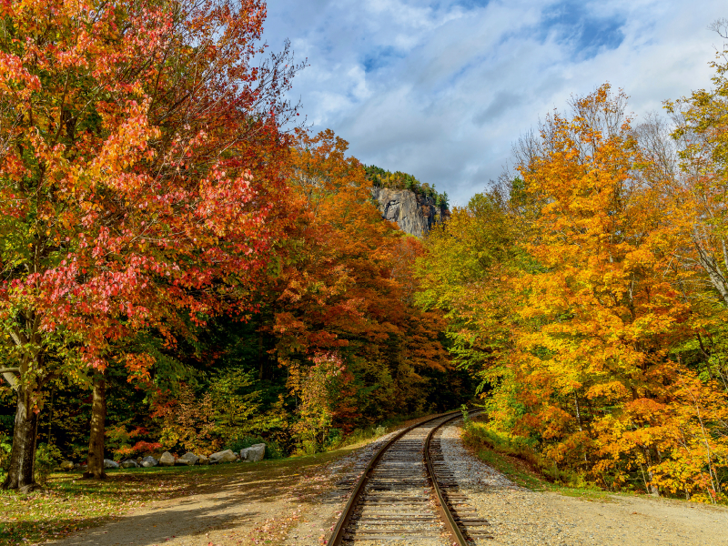 Herbstlaub in New Hampshire