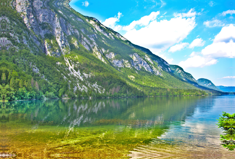 Spiegelung im Bohinj- See