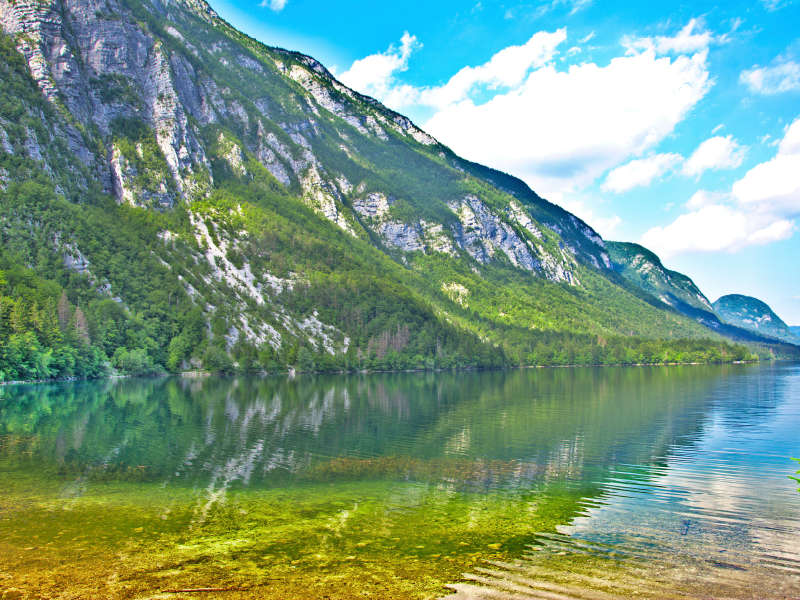 Spiegelung im Bohinj- See