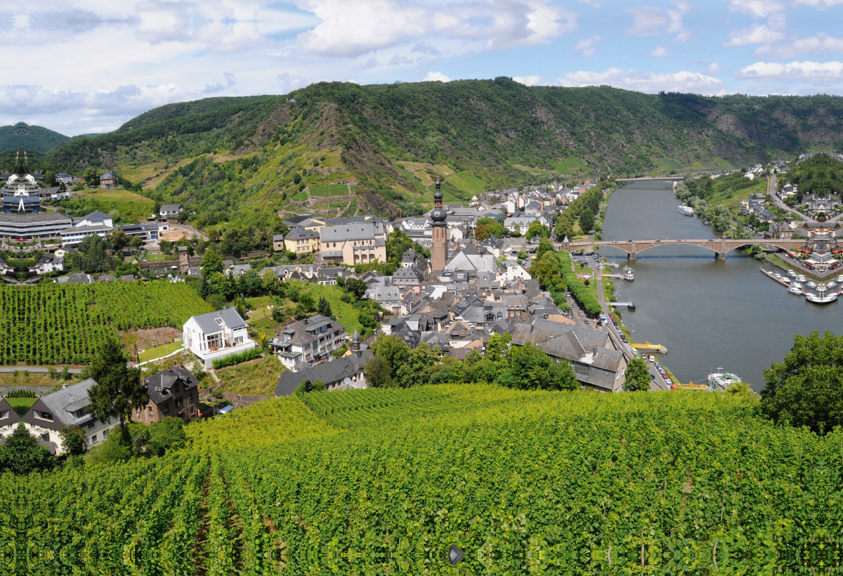 Blick über die Mosel bei Cochem. Stadtansicht mit Weinbergen.