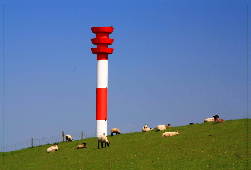 Schafe am Leuchtturm