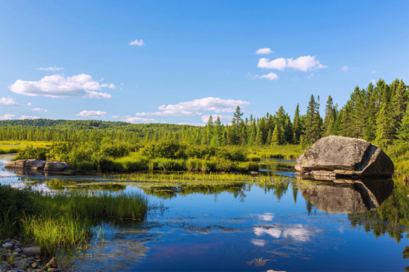 Algonquin Provincial Park, Opeongo Lake