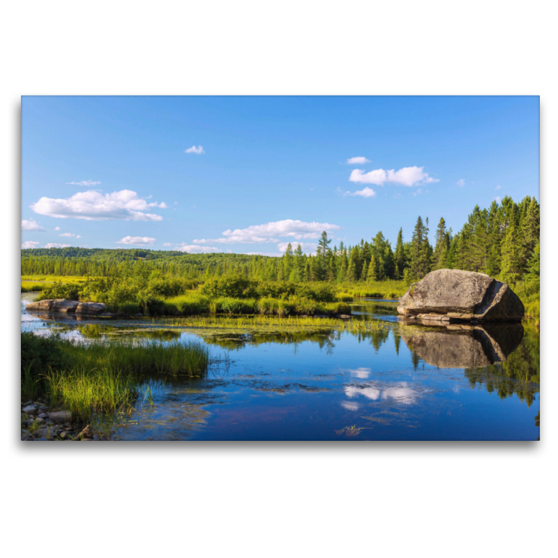 Algonquin Provincial Park, Opeongo Lake