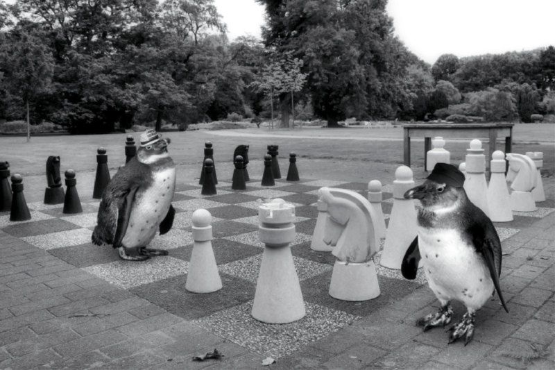 Schach im Stadtpark