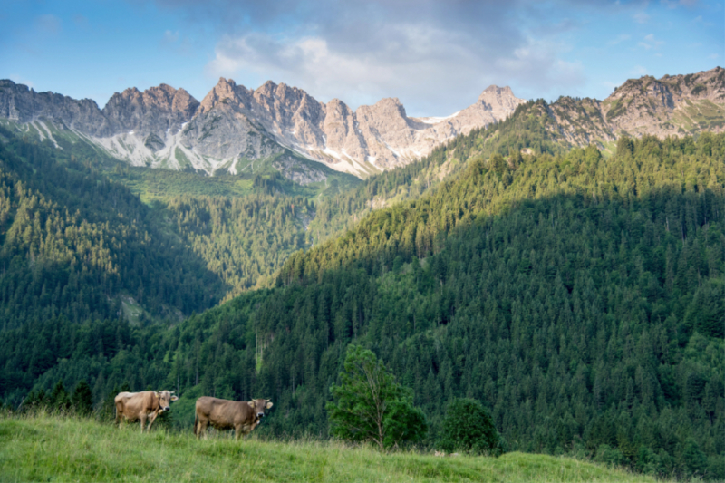 Im Hintersteiner Tal