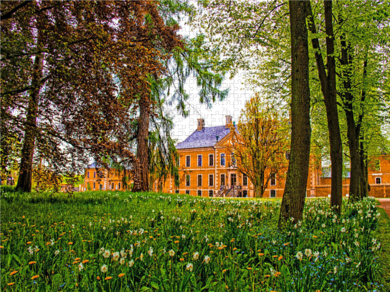 Narzissen am Schloss Bothmer