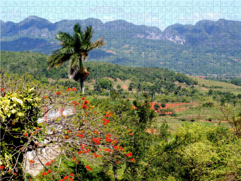 Blick vom Aussichtspunkt Los Jazmines im Tal von Vinales auf Kuba