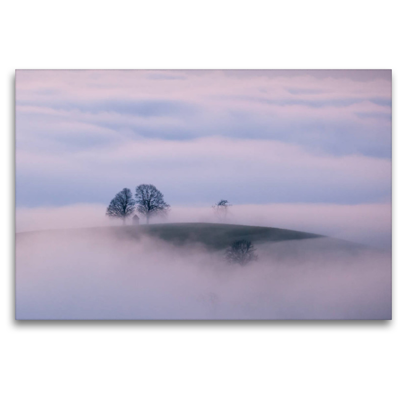 Oberdambach im Nebel