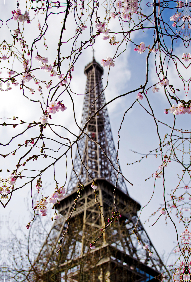 Frühling in Paris