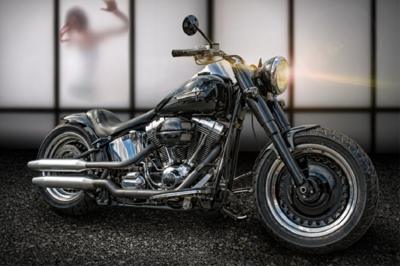 Harley Davidson Fad Boy Custom