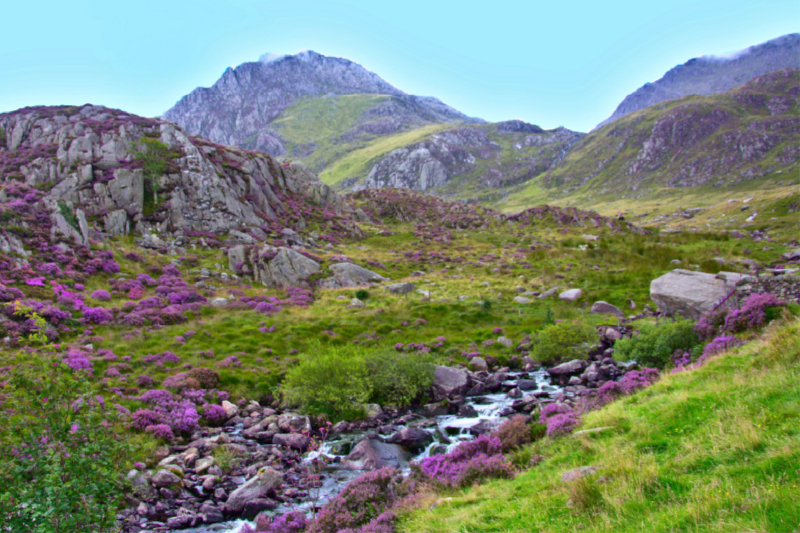 Zufluss zum See Idwal