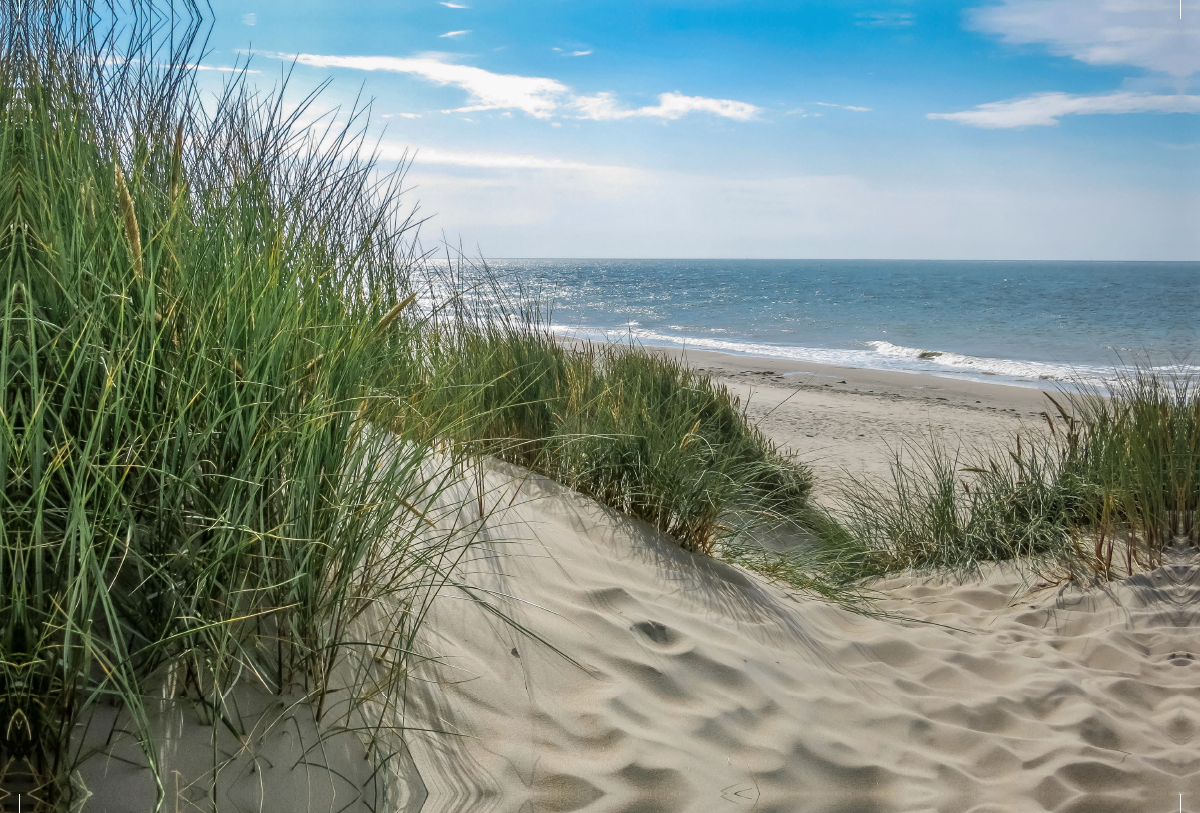 Düne mit Strandgras