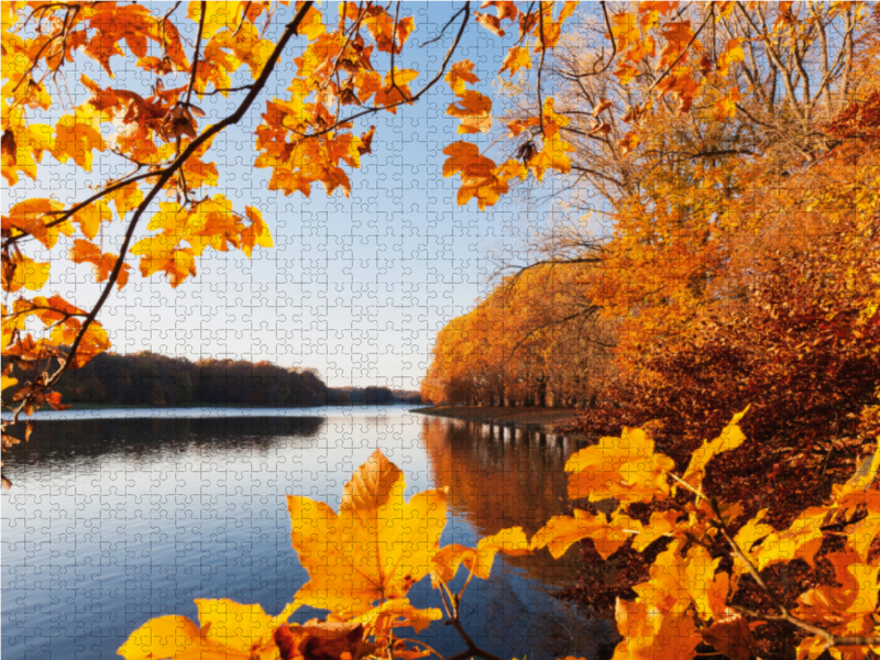 Köln   Decksteiner Weiher in wunderbaren Herbstfarben