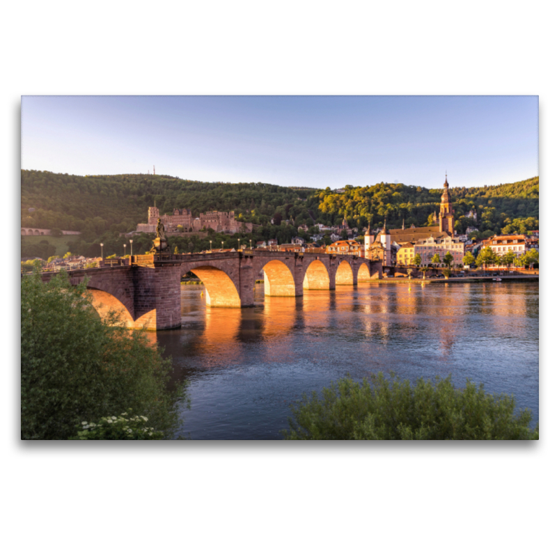 Alte Brücke Heidelberg in der Morgensonne