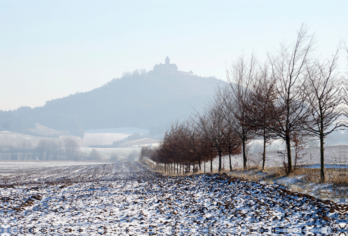 Veste Wachsenburg in Thüringen