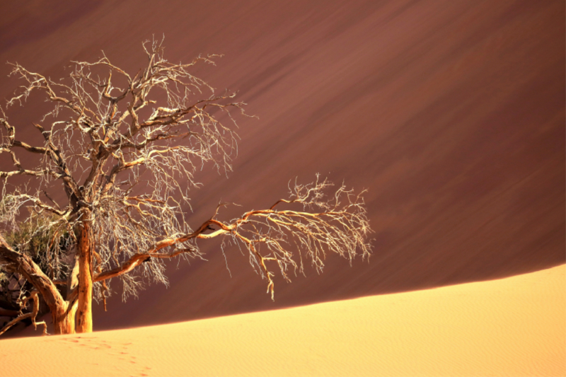 Ein Motiv aus dem Kalender Licht und Schatten - Kunstwerke aus Sand in der Namib