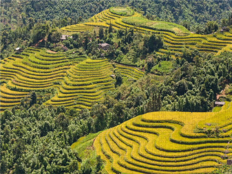 Reisterrassen, Hoang Su Phi, Vietnam