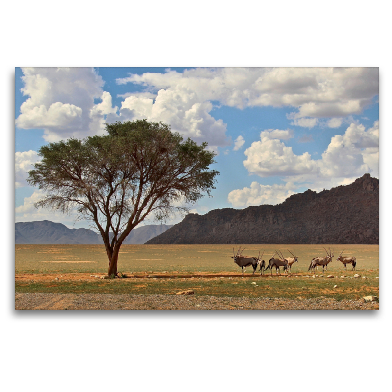 Namibia - Baum, Berg & Oryxantilopen