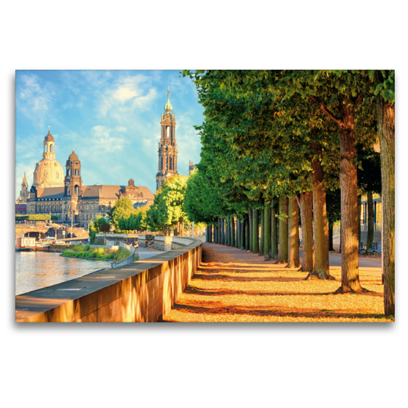 Dresden im Sommer