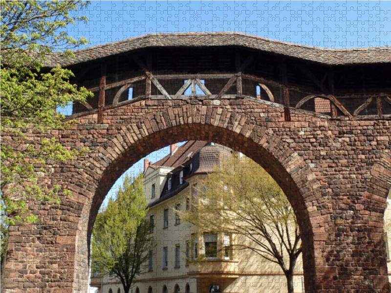 Das Martinstor in der Altstadt von Worms