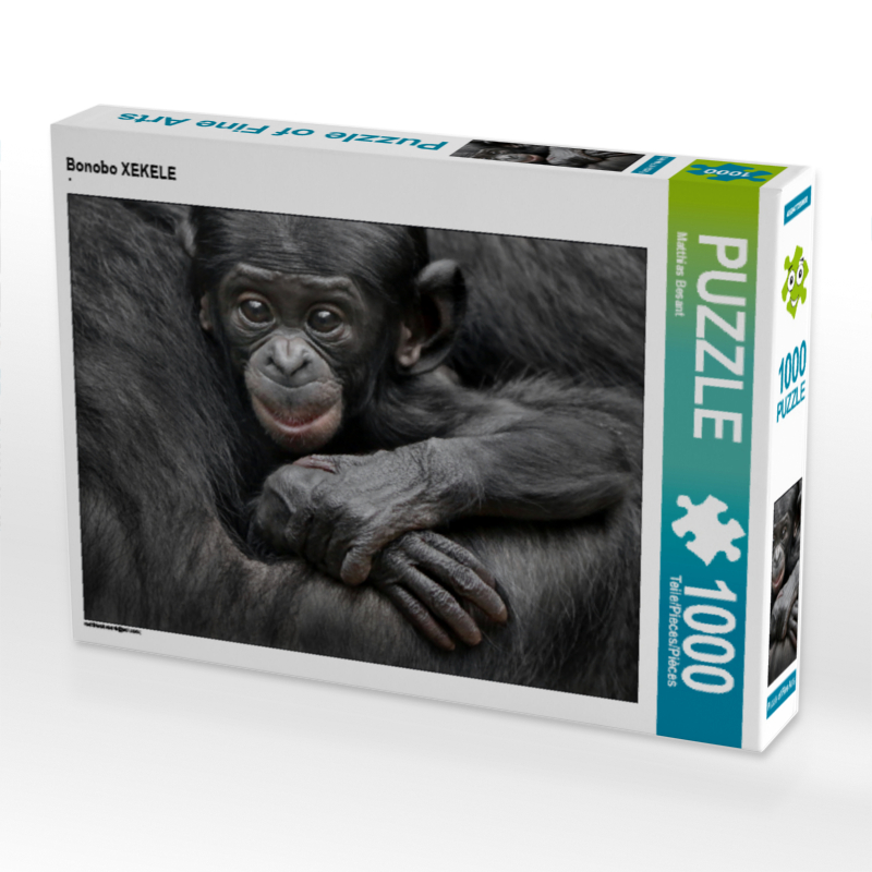 Bonobo XEKELE