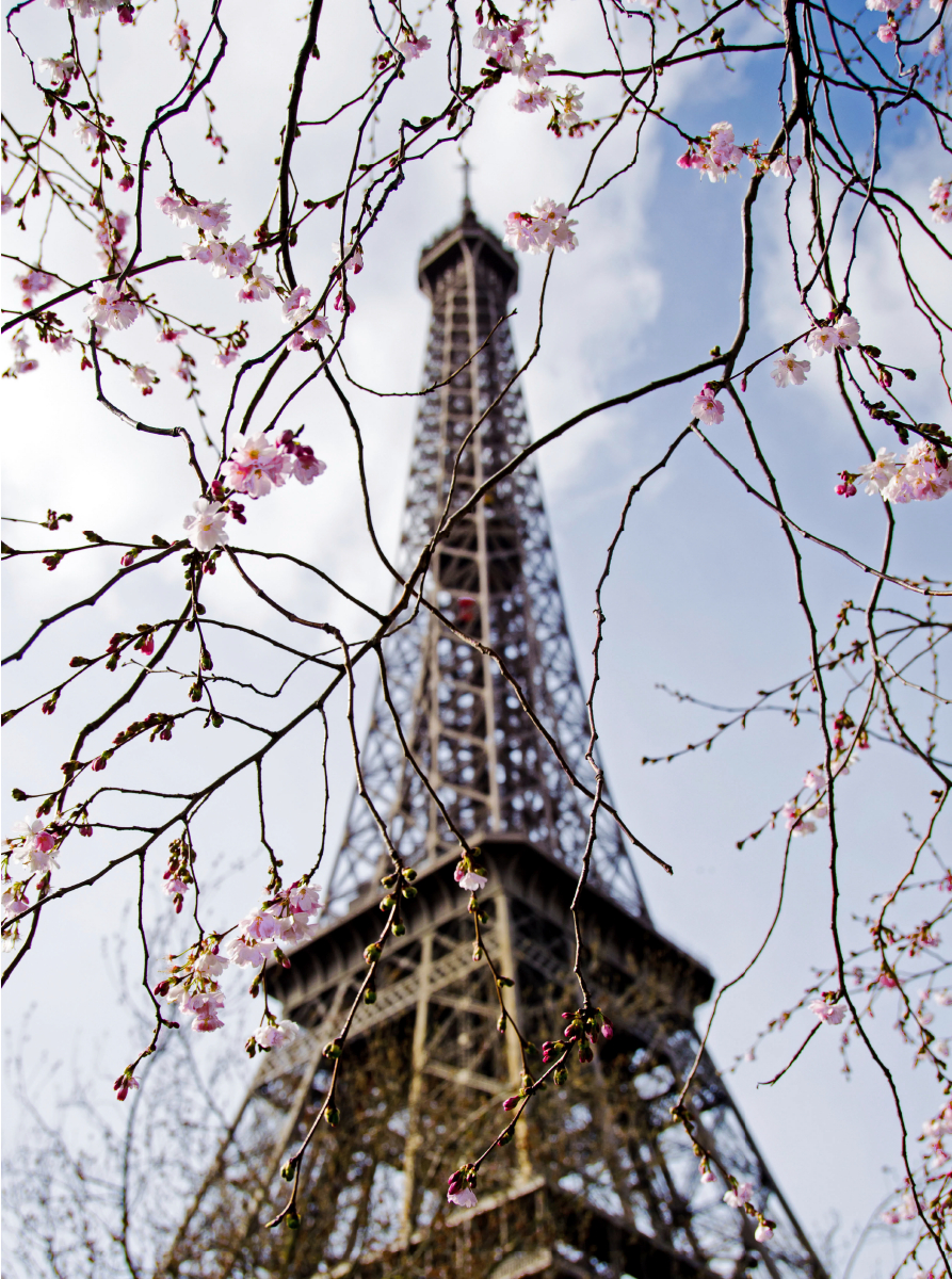 Frühling in Paris