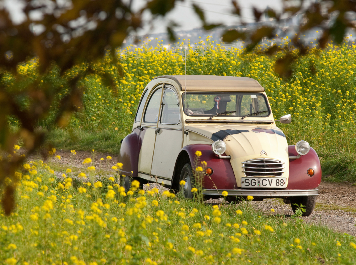 Citroën 2CV Dolly