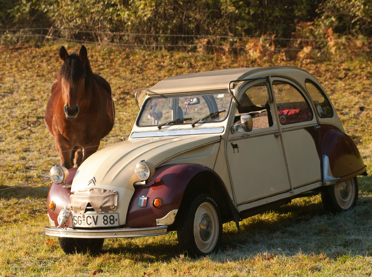 Citroën 2 CV Dolly mit Pferd