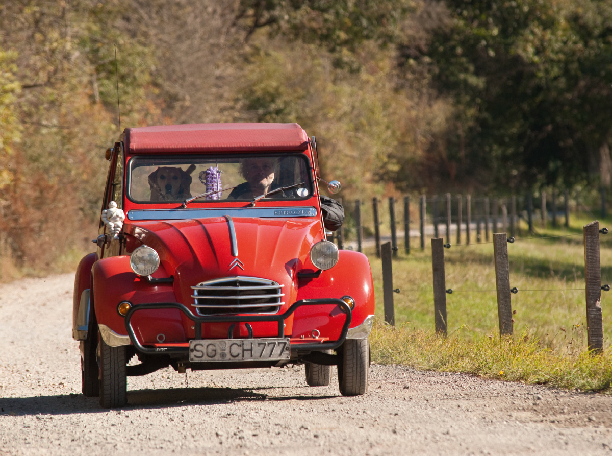 2CV 6 Club Bj.86 1.Hand