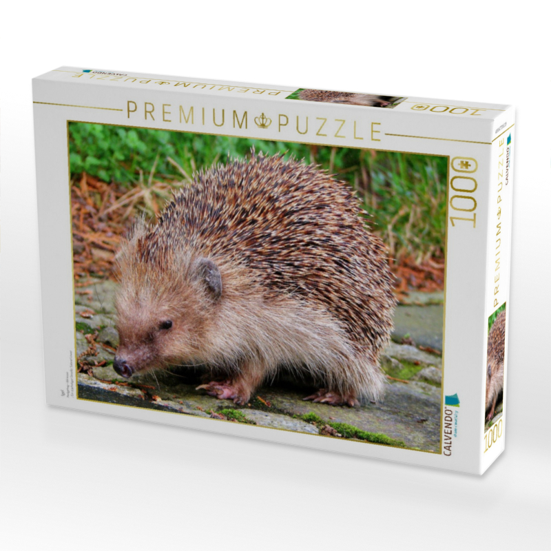 Igel
