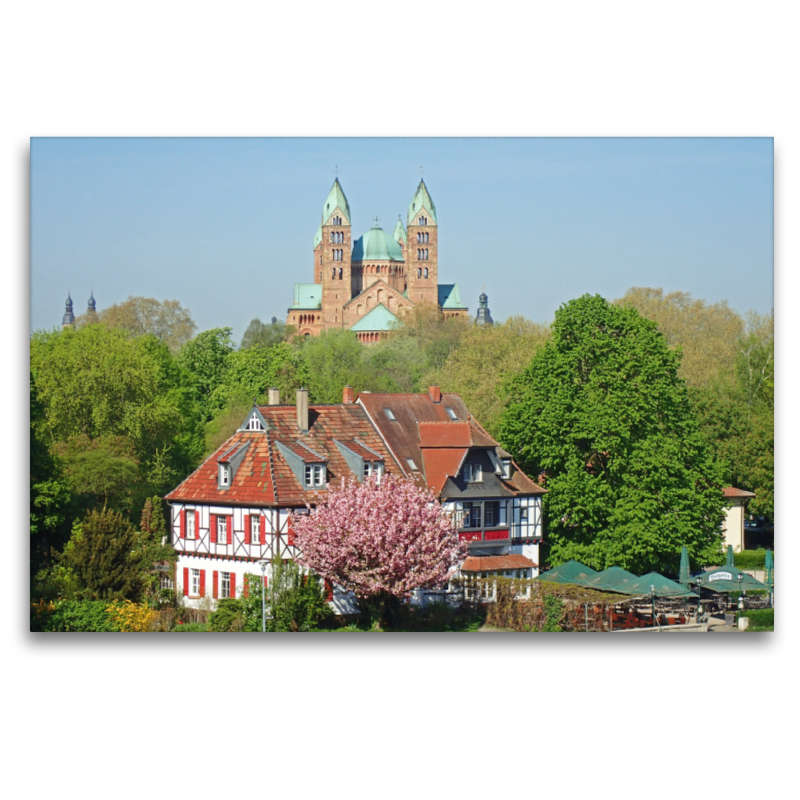 Blick auf den Kaiserdom in Speyer am Rhein