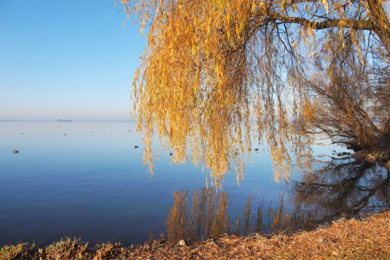 Herbststimmung am Steinhuder Meer