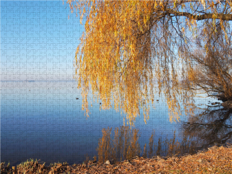 Herbststimmung am Steinhuder Meer