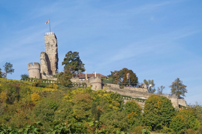 Die Wachtenburg in Wachenheim an der Weinstraße